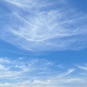 Meet your Posher, Antonio